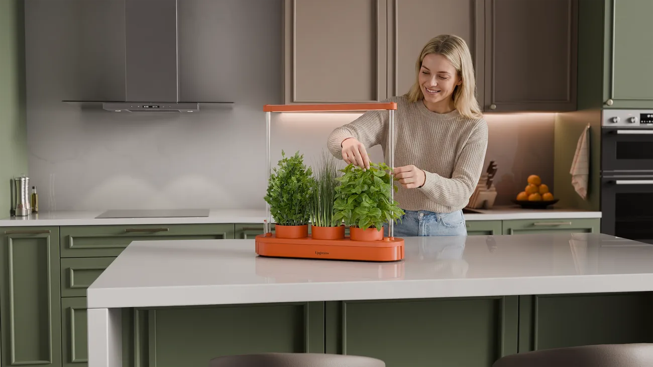 Frau am Kitchenforest in der Küche
