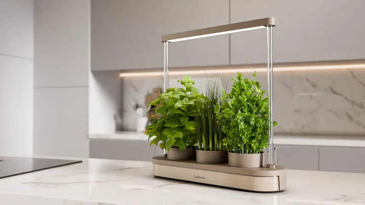Kitchenforest in Sesam