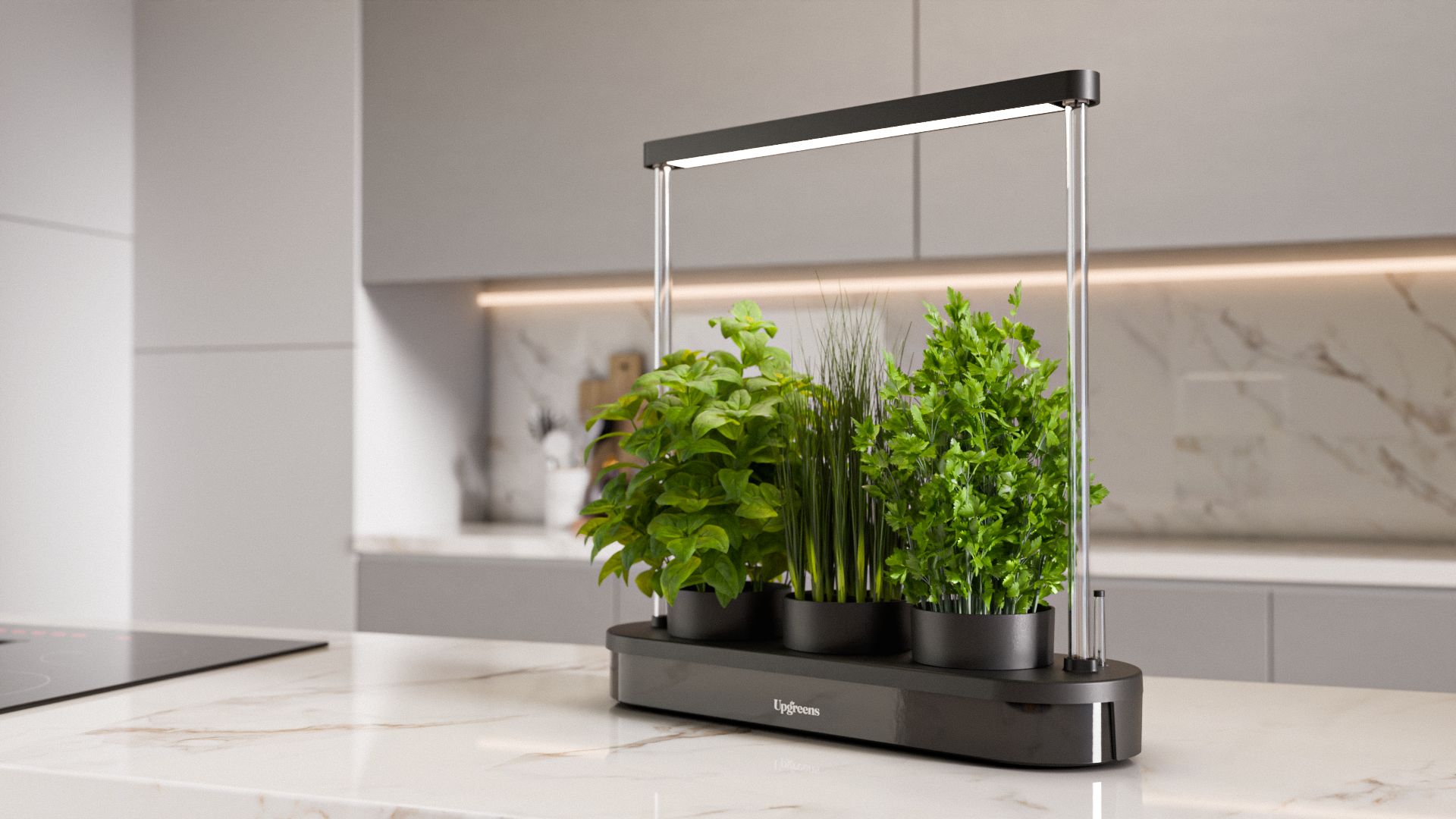 Kitchenforest in Schwarz