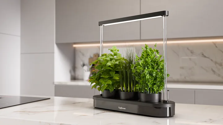 Kitchenforest in Pepper