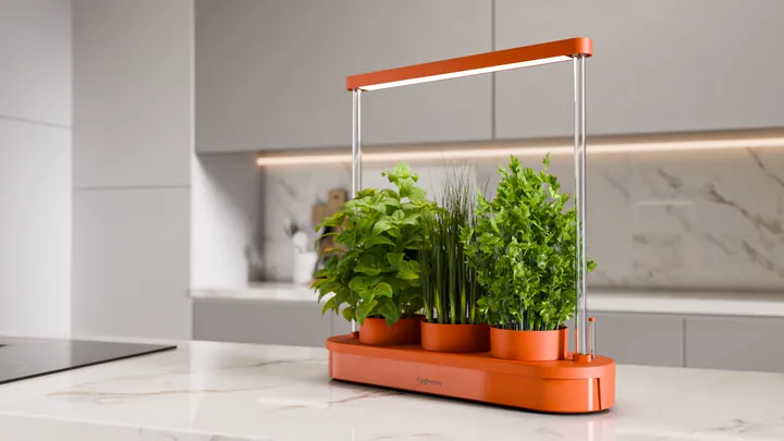 Kitchenforest in Safran